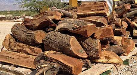Leonti's Outdoor Supply delivers firewood to North Royalton, Brecksville, Broadview Heights, Strongsville, Hinckley, Brunswick, Parma, Seven Hills, Medina, and all surrounding Ohio cities.