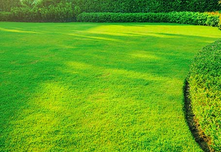 Leonti's Outdoor Supply provides lawn installation including lawn repair, lawn rehab, pool fill in and new lawns. We offer our lawn installation services to North Royalton, Brecksville, Broadview Heights, Strongsville, Hinckley, Brunswick, Parma, Seven Hills, Medina, and all surrounding Ohio cities.