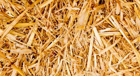 Leonti's Outdoor Supply offers straw for your landscaping needs. We deliver our straw to North Royalton, Brecksville, Broadview Heights, Strongsville, Hinckley, Brunswick, Parma, Seven Hills, Medina, and all surrounding Ohio cities.